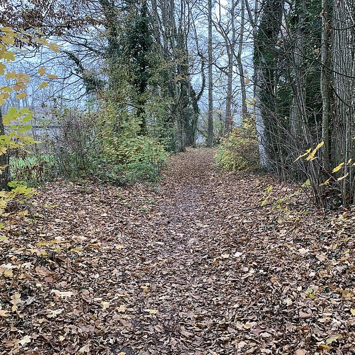 Photo de Château de Pont-de-Veyle