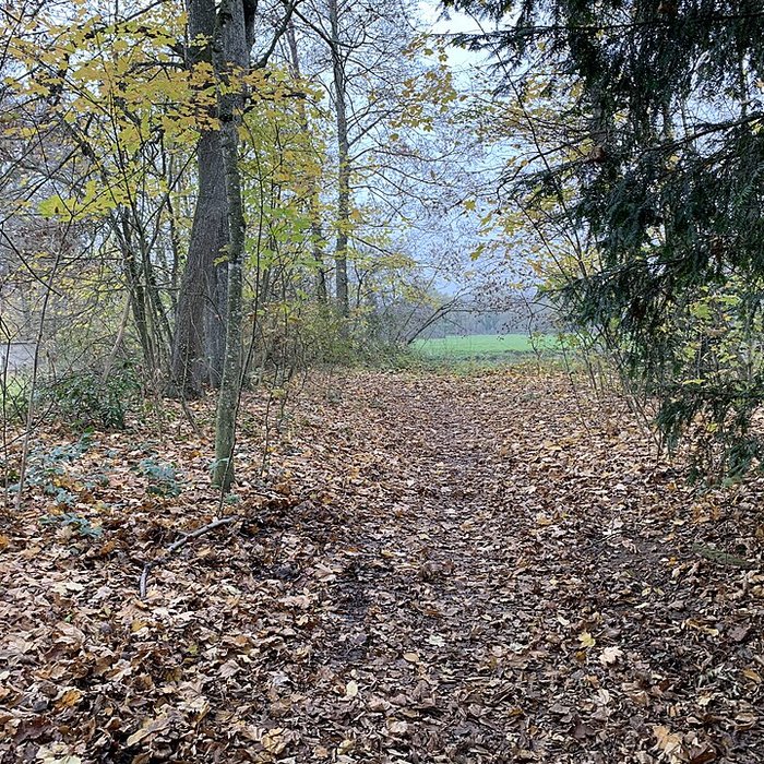 Photo de Château de Pont-de-Veyle