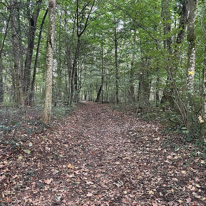 Photo de Château de Pont-de-Veyle