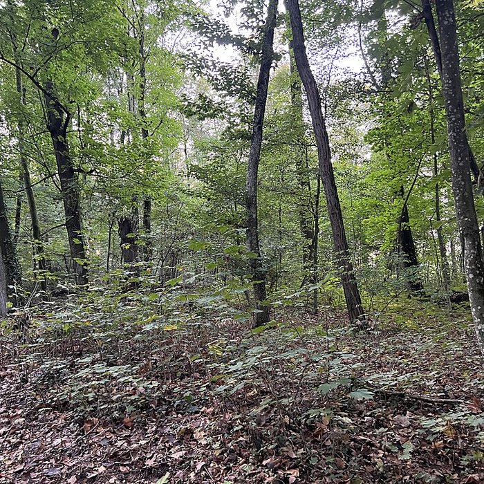 Photo de Château de Pont-de-Veyle