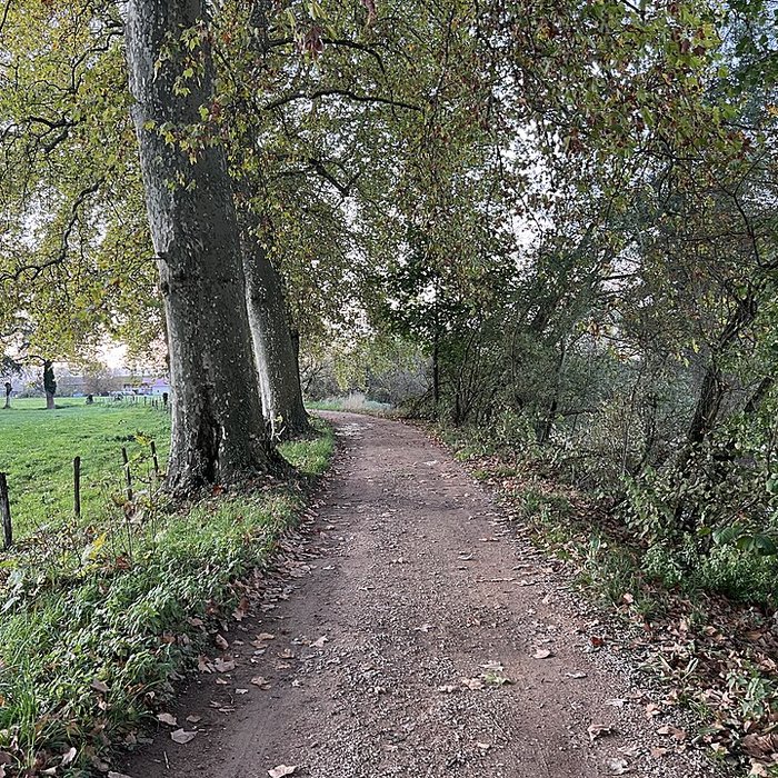 Photo de Château de Pont-de-Veyle