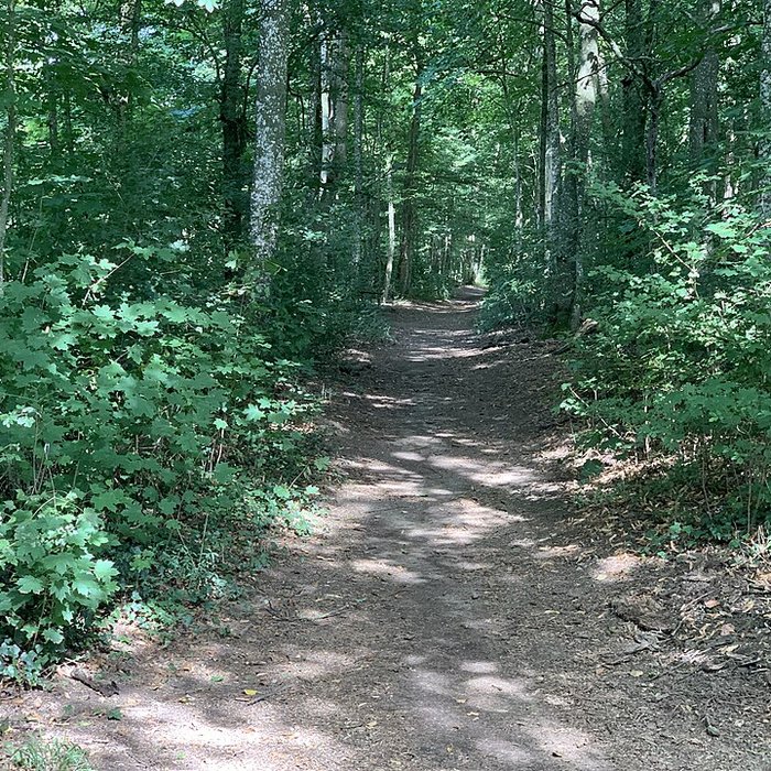 Photo de Château de Pont-de-Veyle