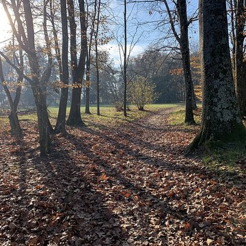 Château de Pont-de-Veyle