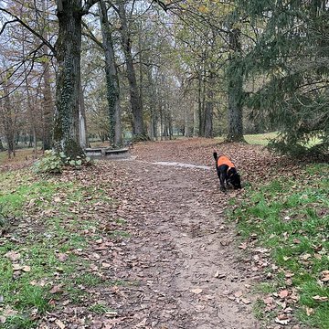 Château de Pont-de-Veyle