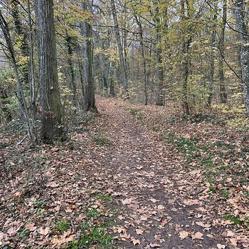 Château de Pont-de-Veyle