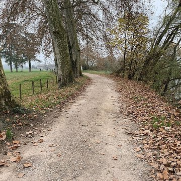 Château de Pont-de-Veyle