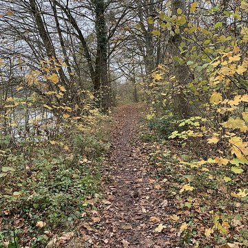 Château de Pont-de-Veyle
