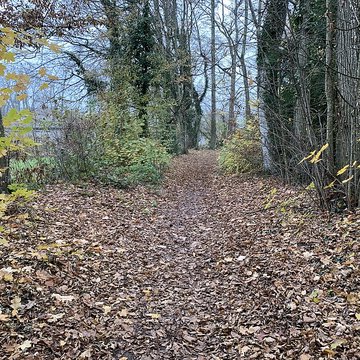 Château de Pont-de-Veyle