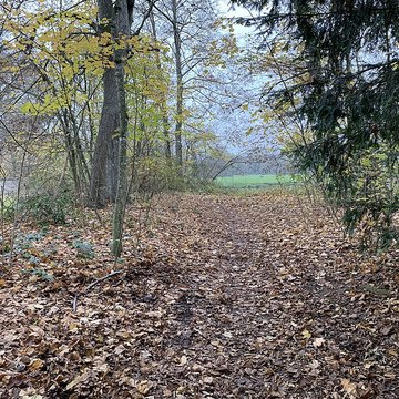 Château de Pont-de-Veyle
