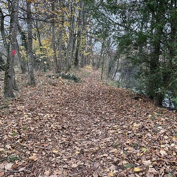 Château de Pont-de-Veyle