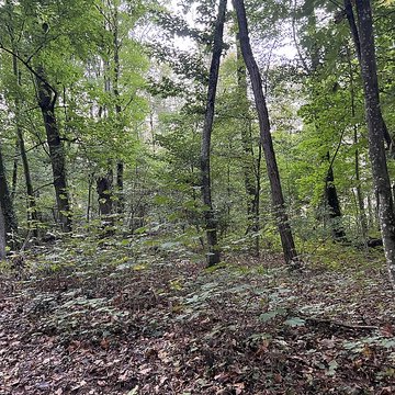 Château de Pont-de-Veyle