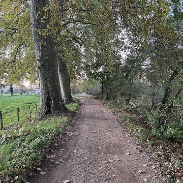 Château de Pont-de-Veyle