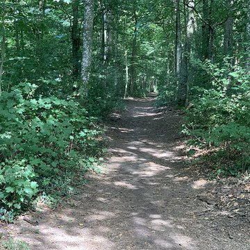 Château de Pont-de-Veyle