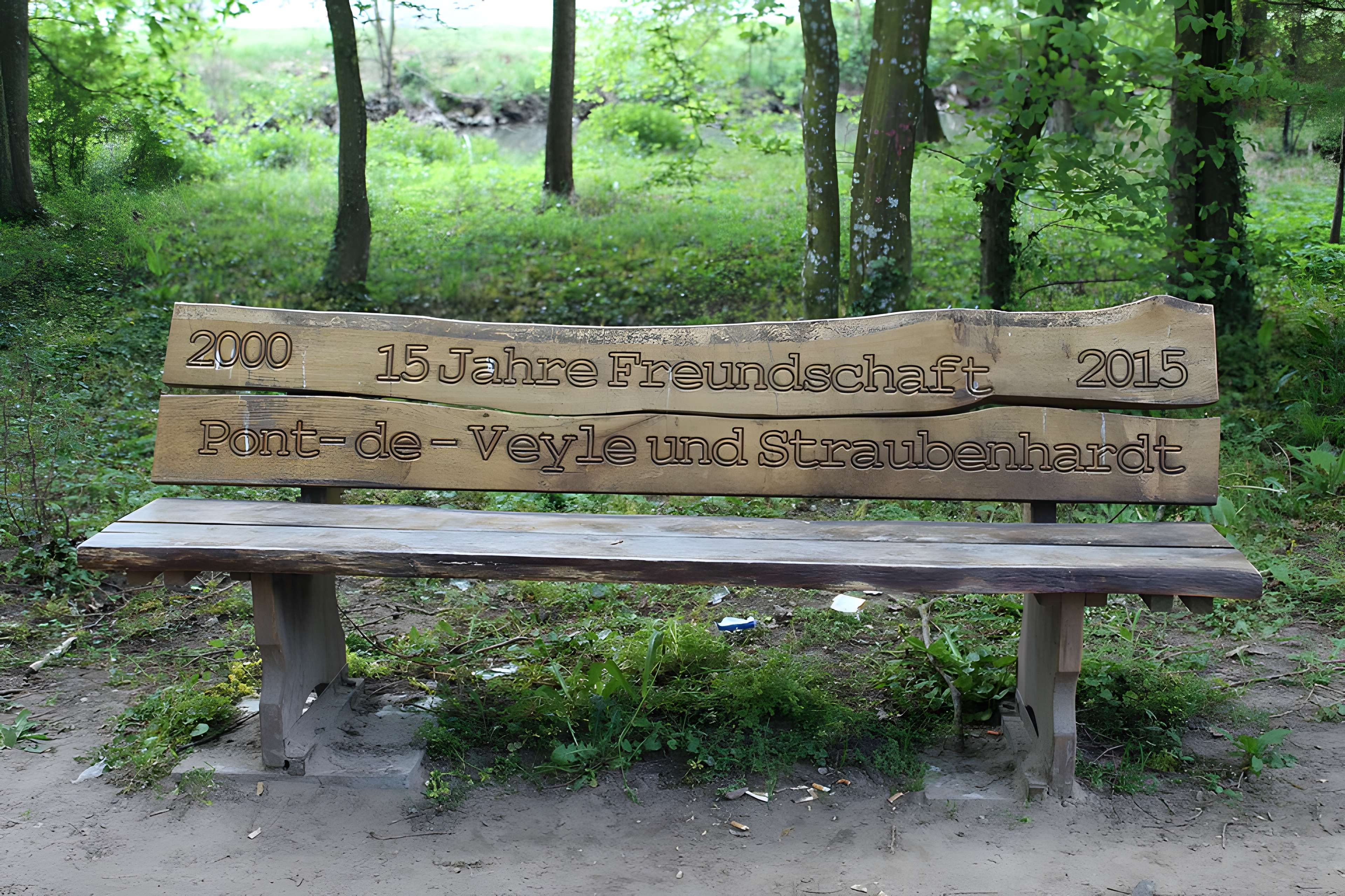 Château de Pont-de-Veyle