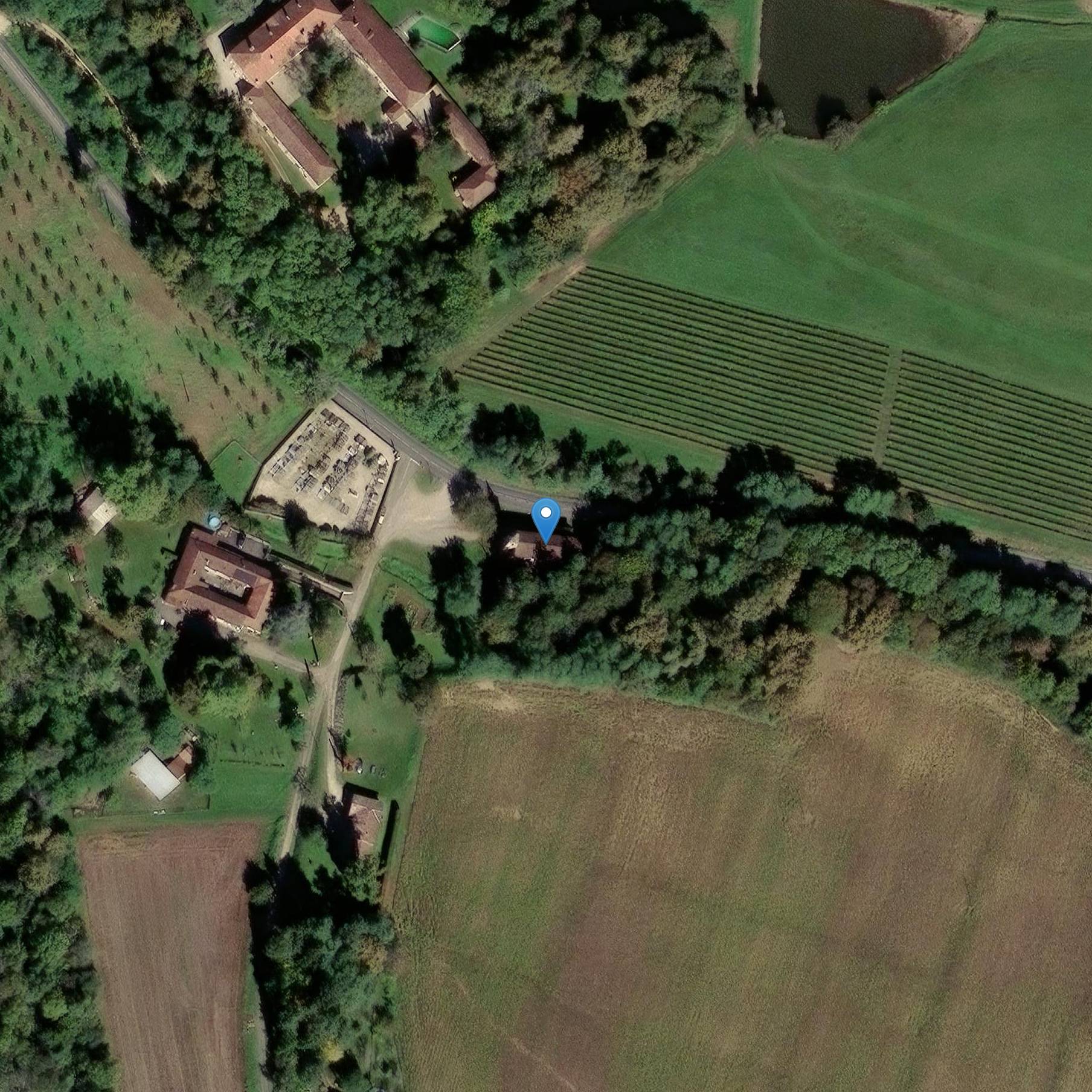 Photo de Chiesa di Sant'Amando di Eauze