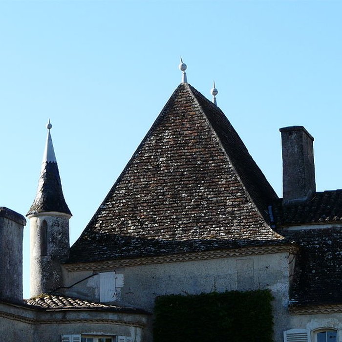 Photo de Château de Pouthet