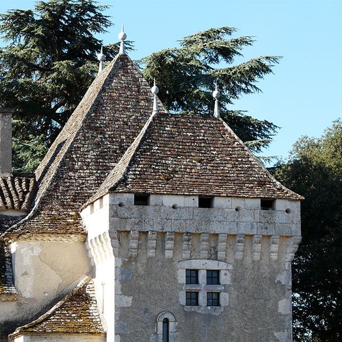 Photo de Château de Pouthet