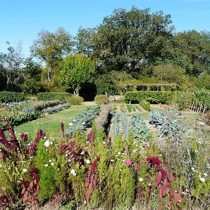 Photo de Château de Pouthet