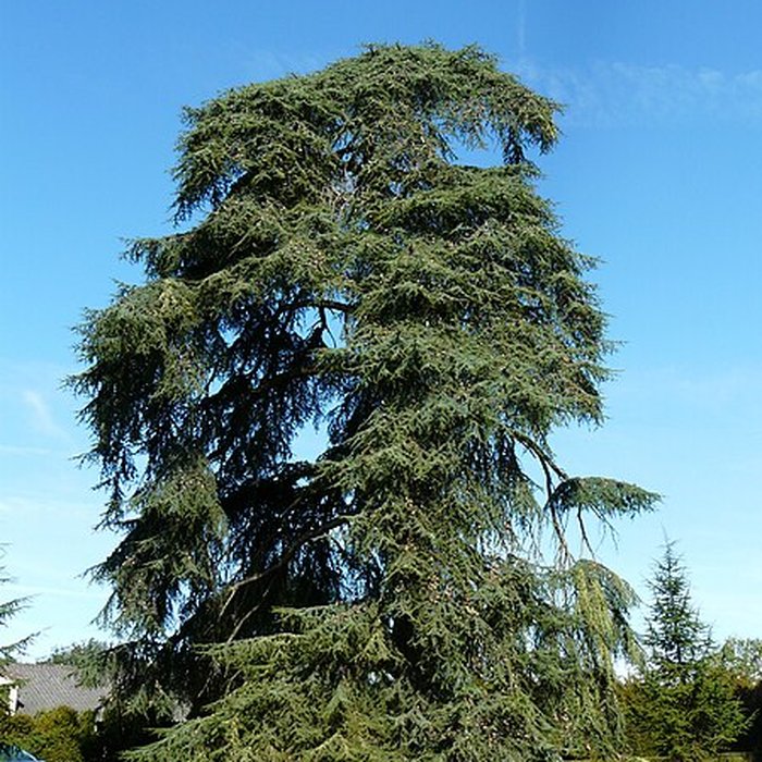 Photo de Château de Pouthet