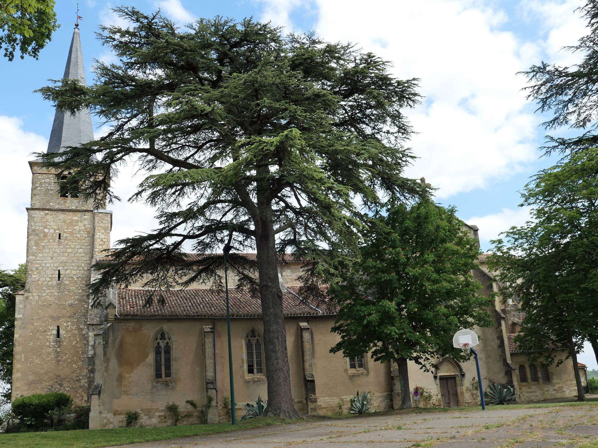 Photo de Collégiale Sainte-Candide de Jegun