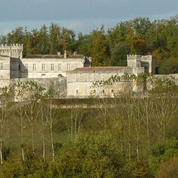 Photo de Château de la Tranchade