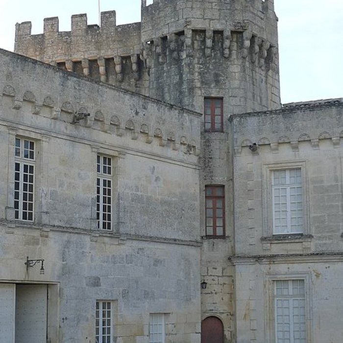 Photo de Château de la Tranchade