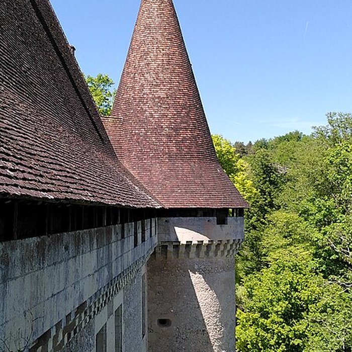 Photo de Château de Puyferrat