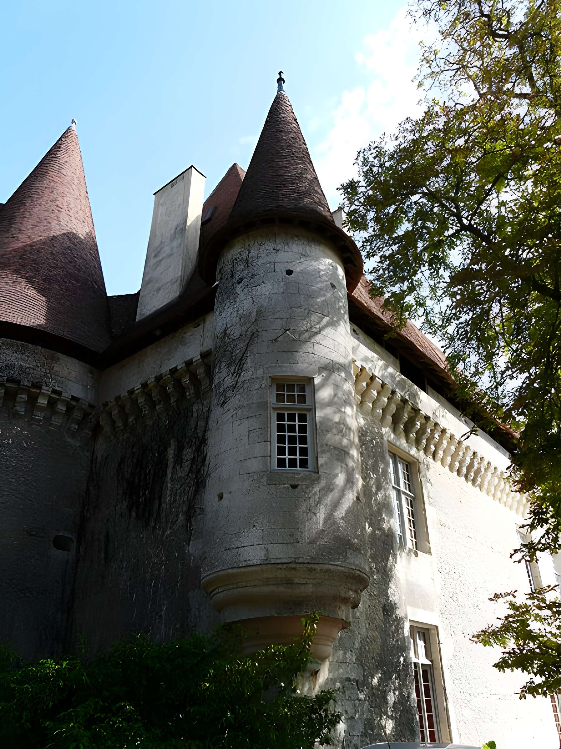 Château de Puyferrat