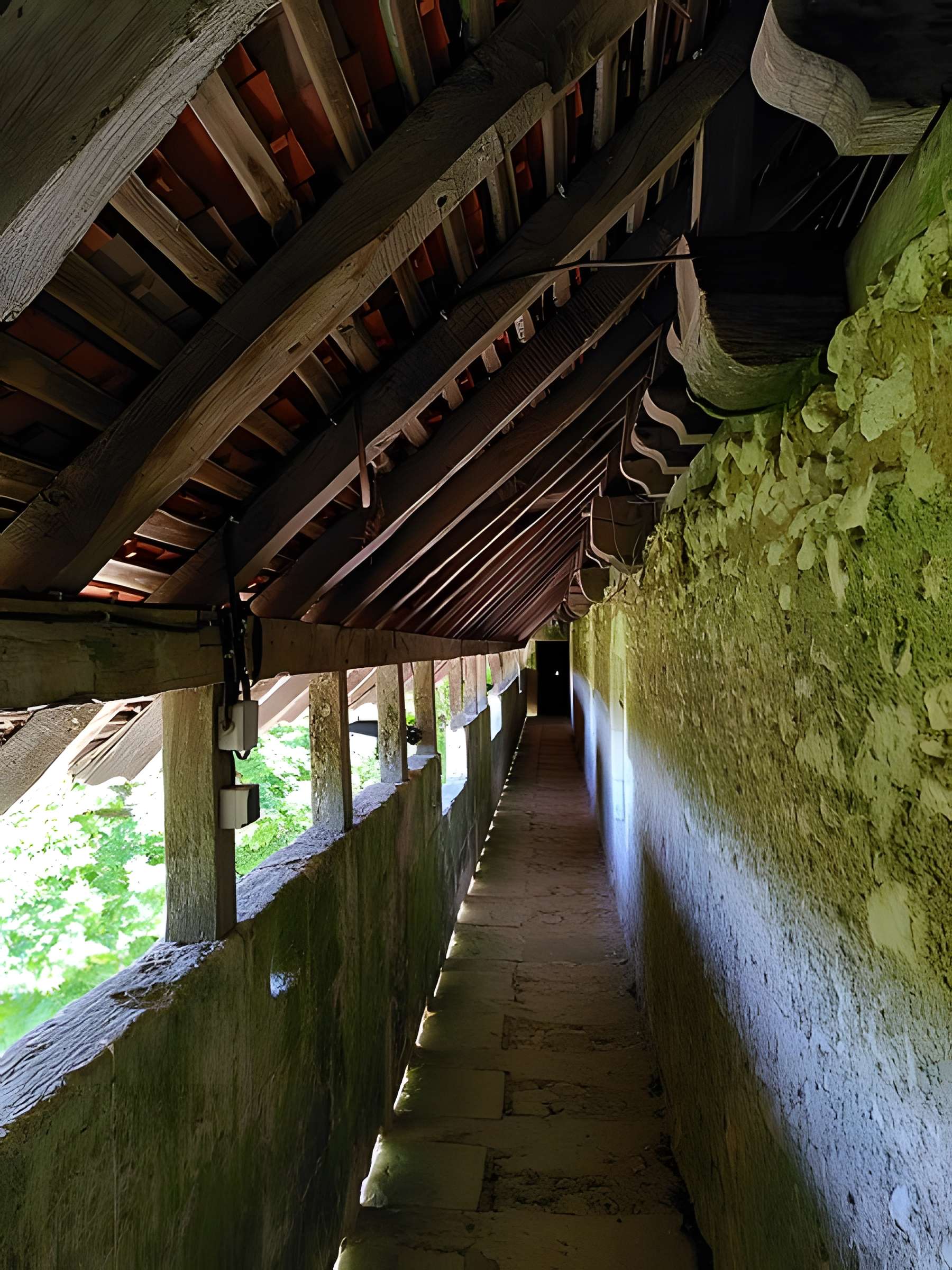 Château de Puyferrat