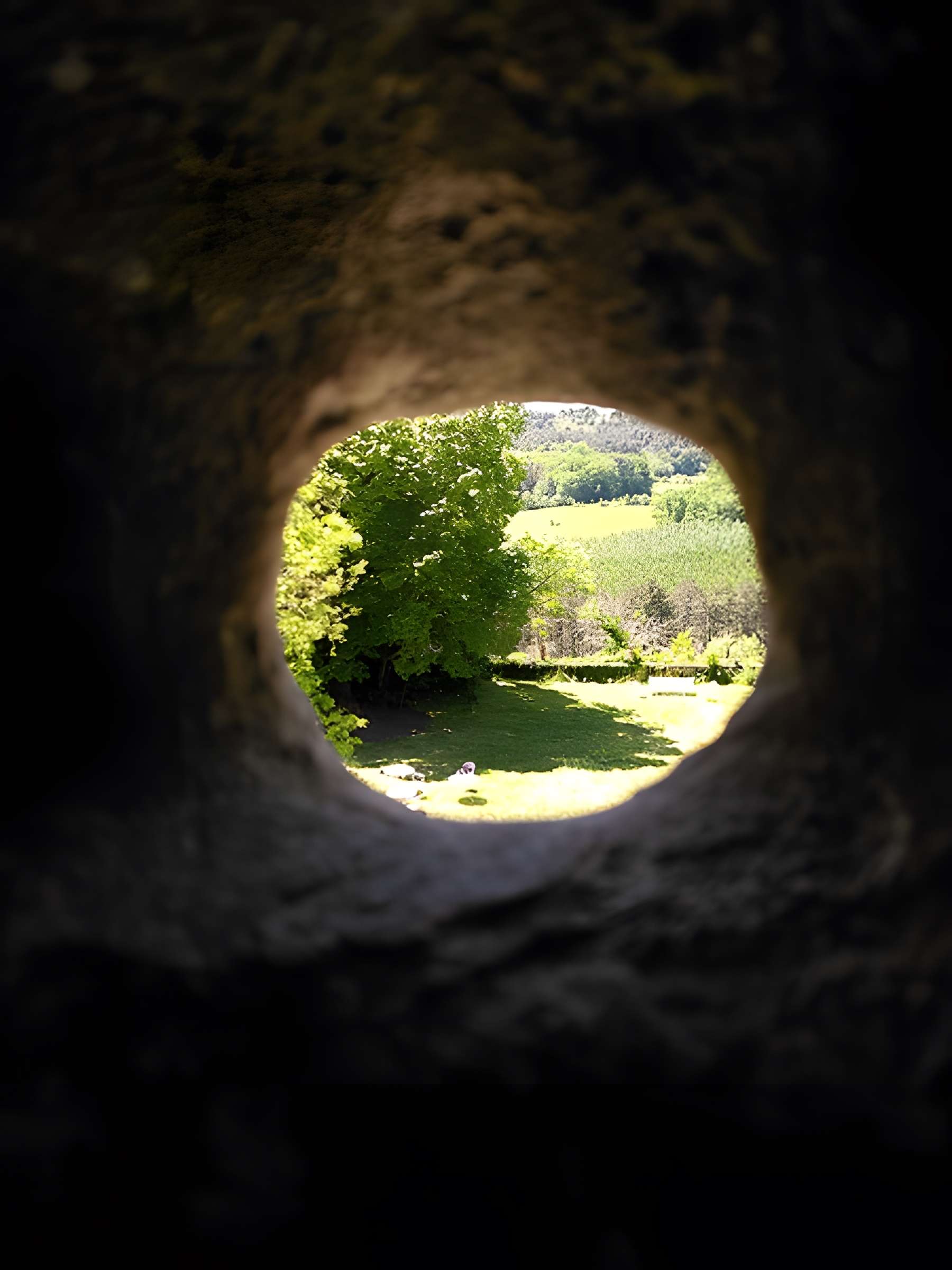Château de Puyferrat