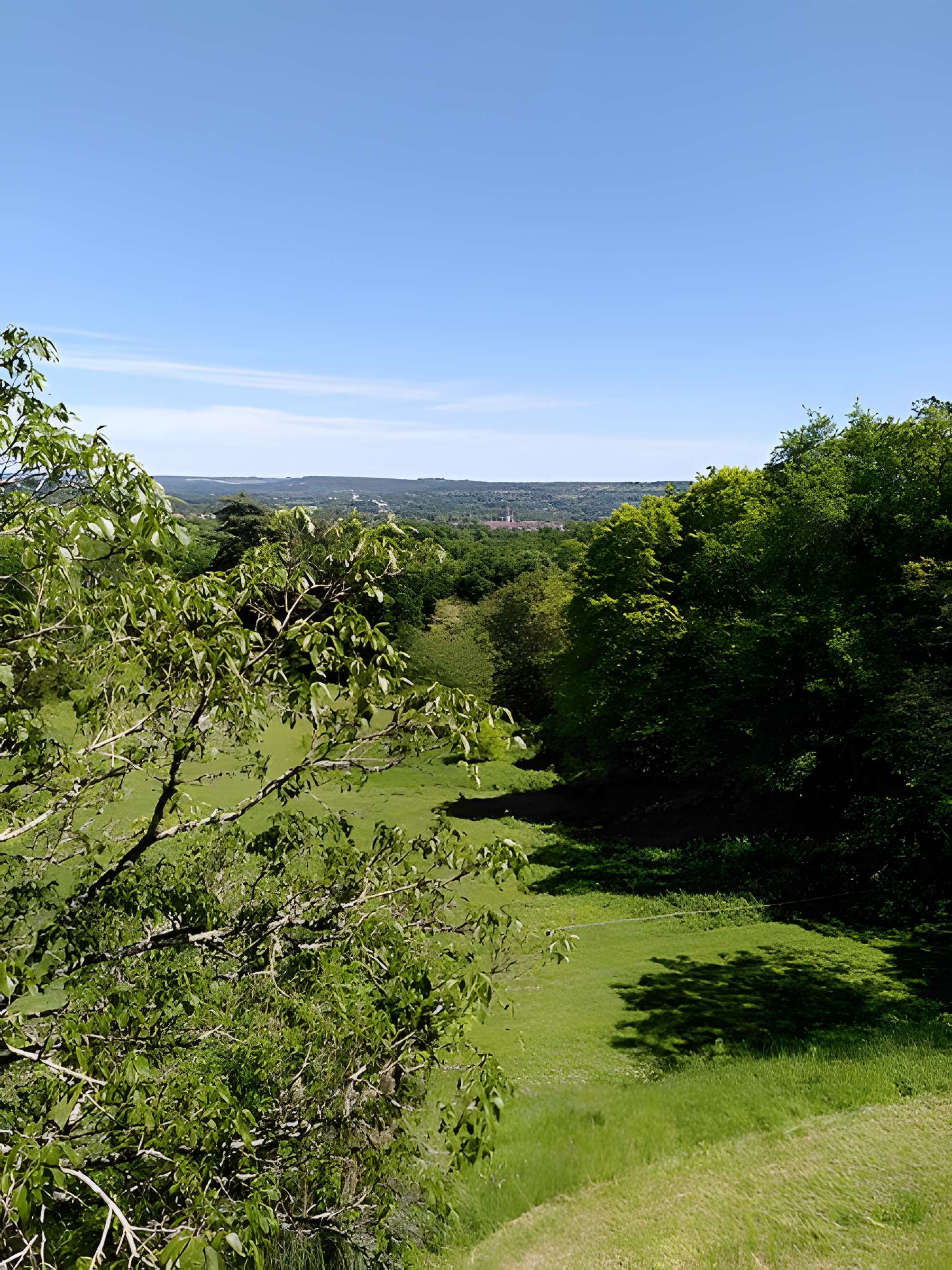 Château de Puyferrat