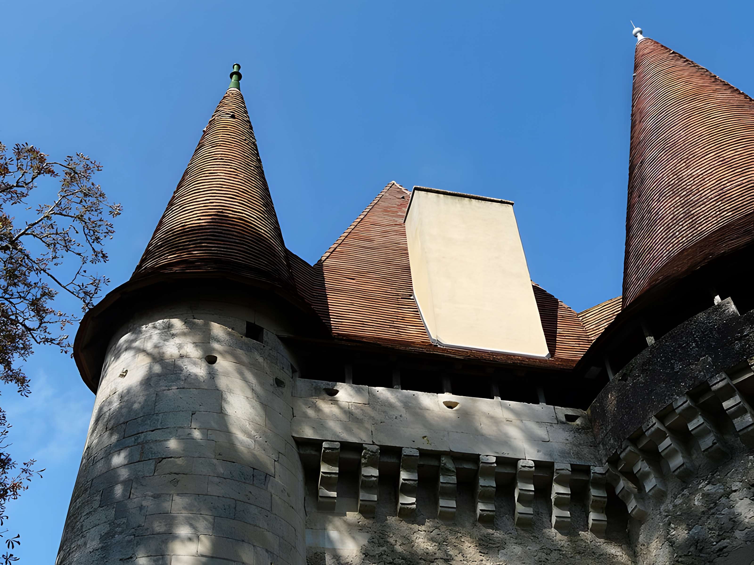 Château de Puyferrat