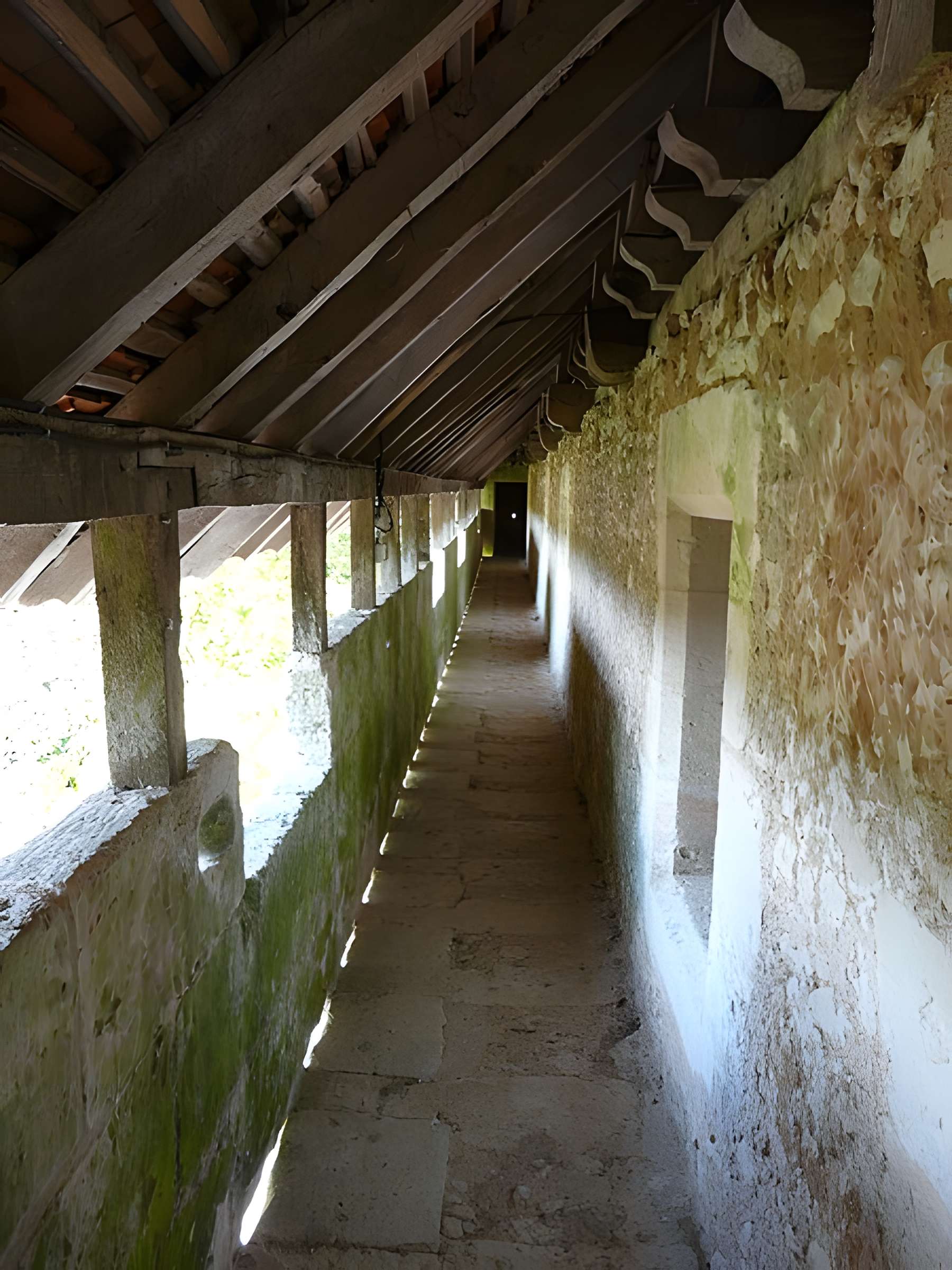 Château de Puyferrat