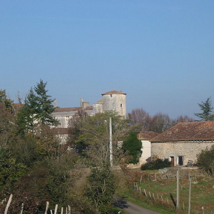 Photo de Château de Puyvidal