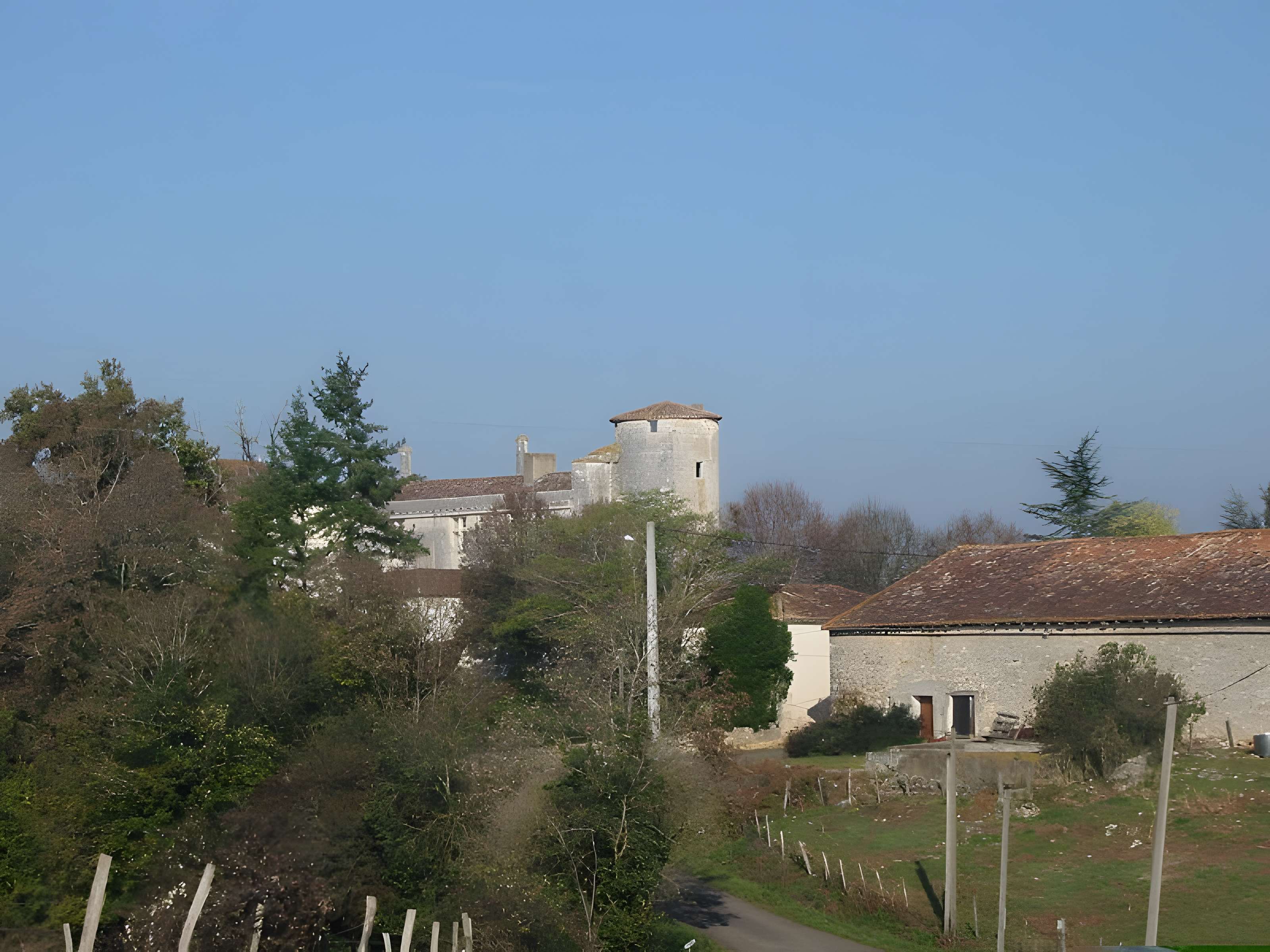 Château de Puyvidal 