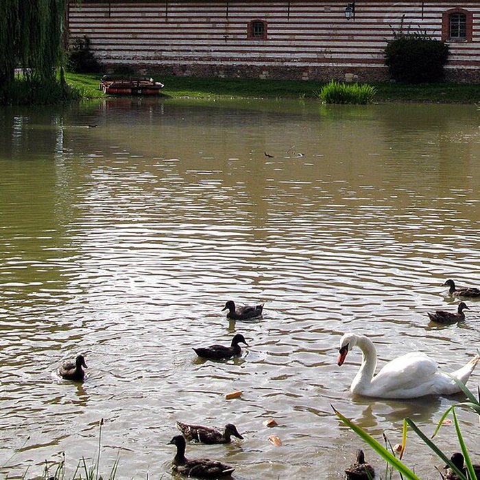 Photo de Château de Quevauvillers