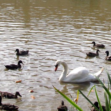 Château de Quevauvillers