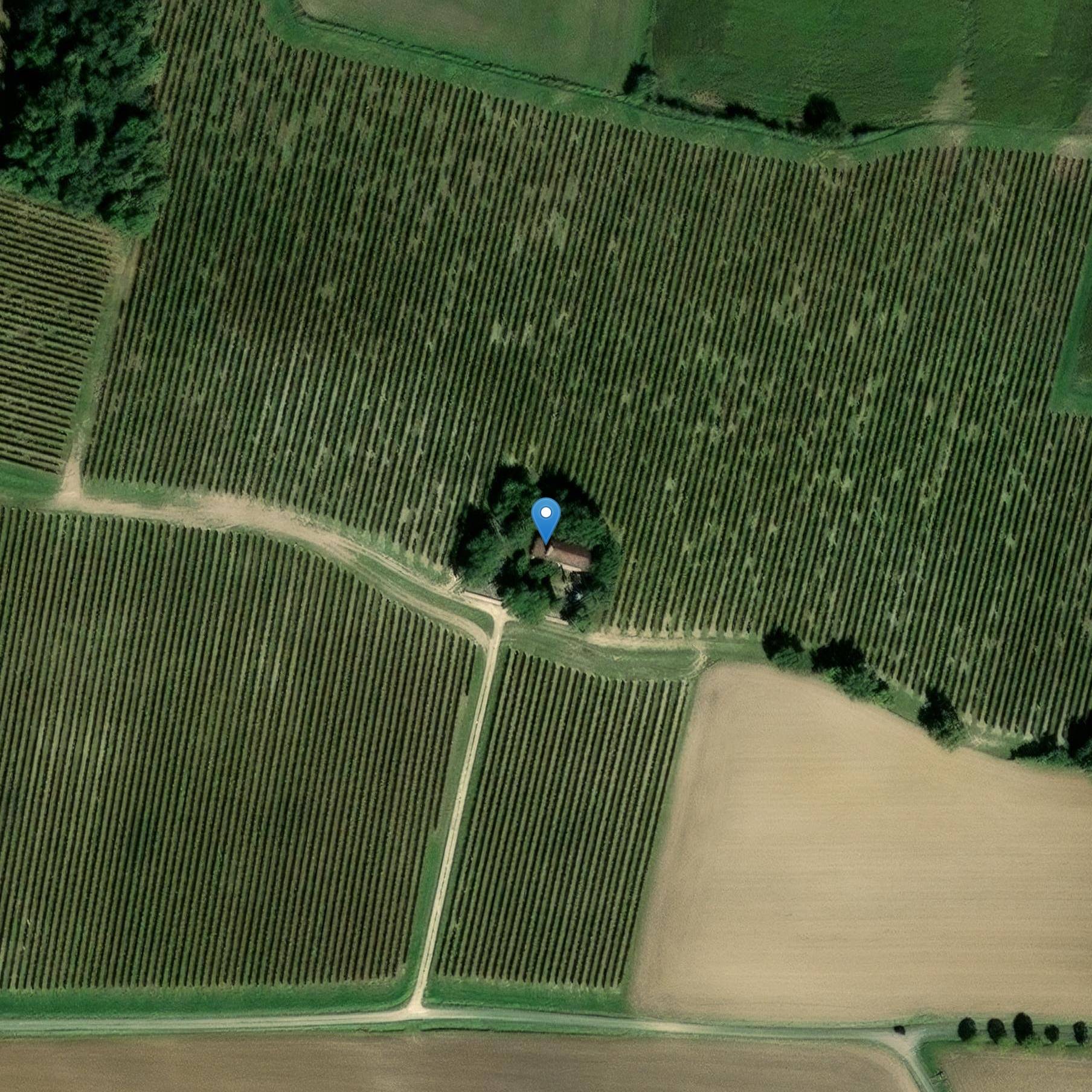 Photo de Église Saint-Louis-et-Sainte-Marie-Madeleine de Routgès