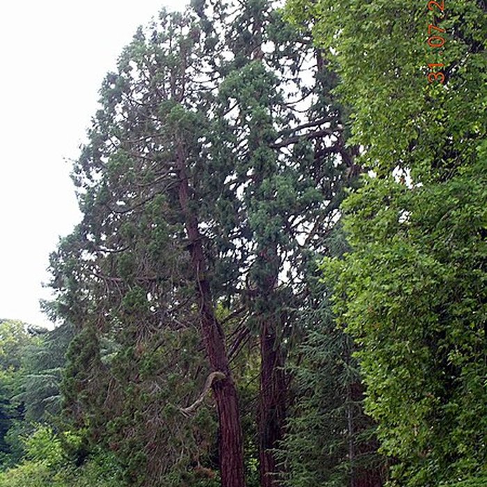 Photo de Château de Ravignan
