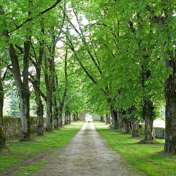 Photo de Château de Richemont