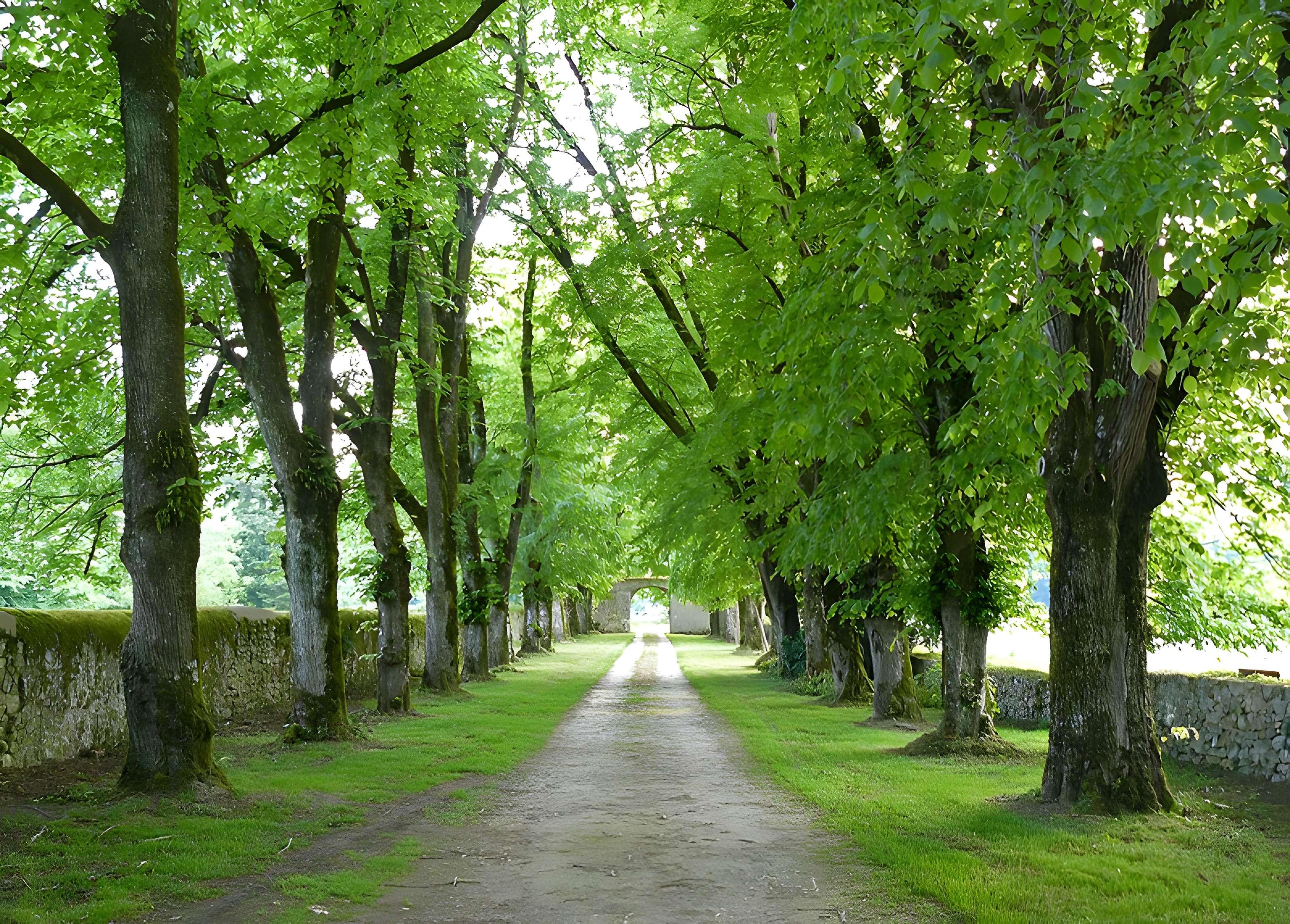 Château de Richemont