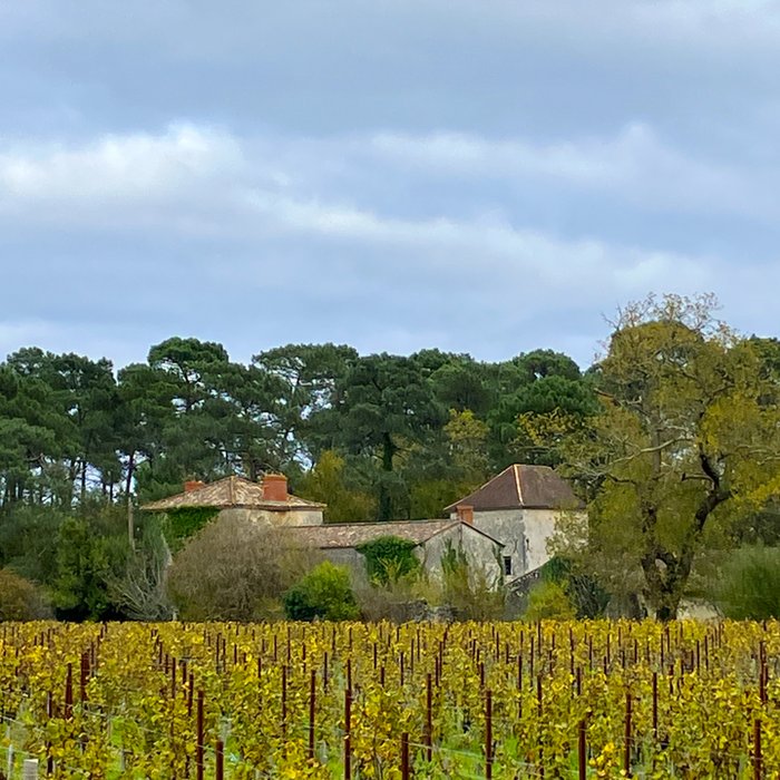 Photo de Château de Rochemorin