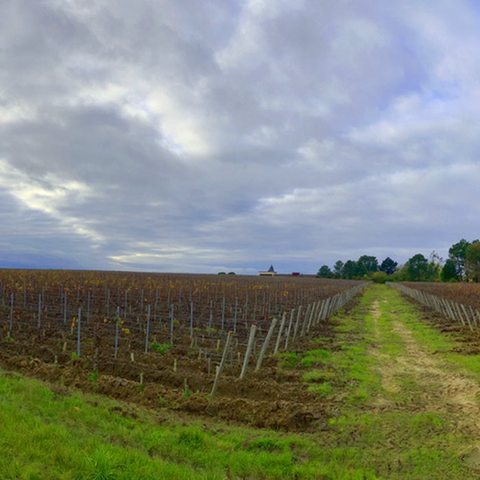 Photo de Château de Rochemorin