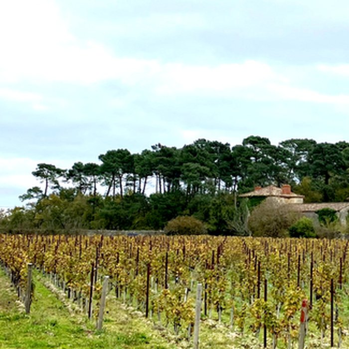 Photo de Château de Rochemorin