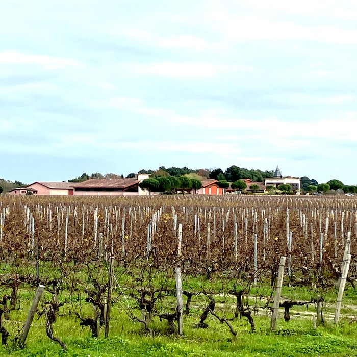 Photo de Château de Rochemorin