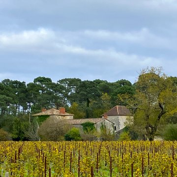 Château de Rochemorin