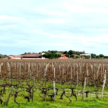 Château de Rochemorin