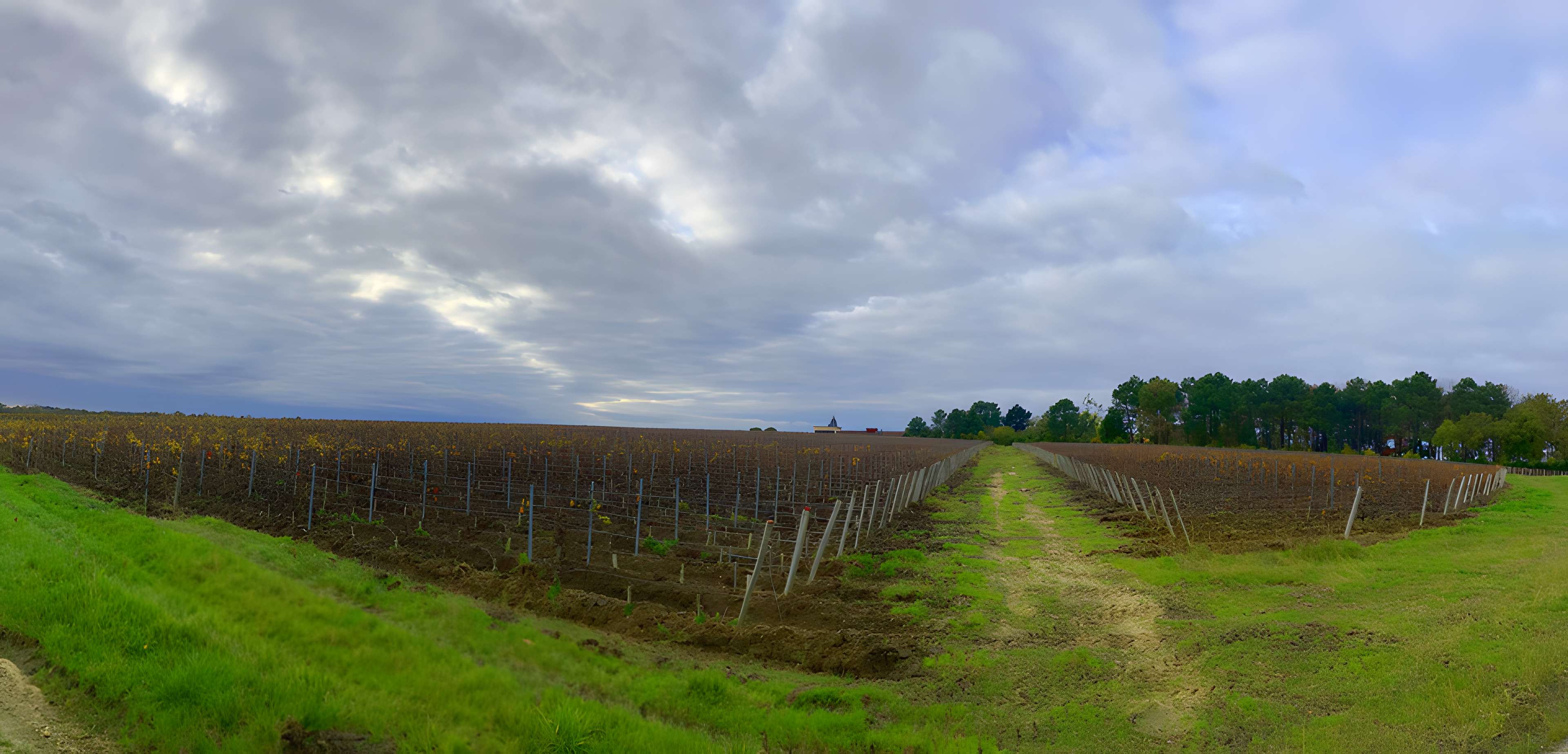 Château de Rochemorin