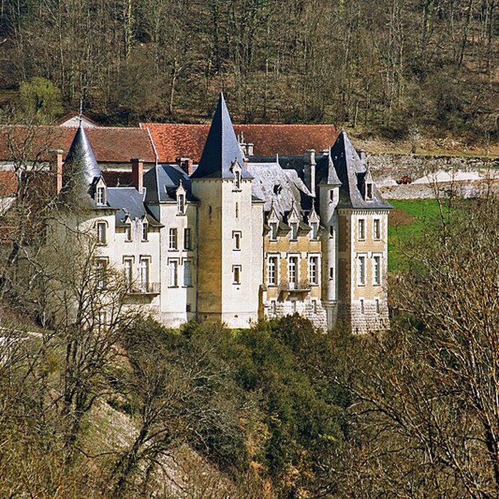 Photo de Château de Rocheprise