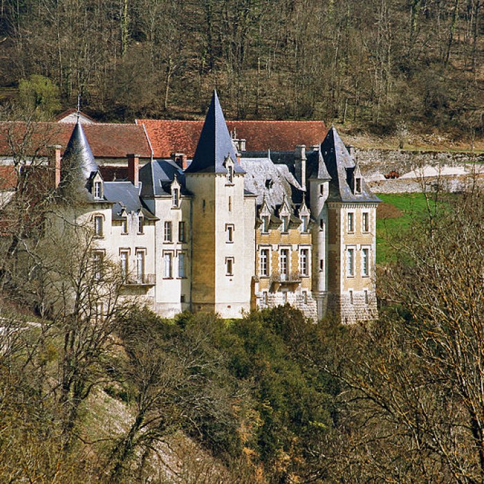 Photo de Château de Rocheprise